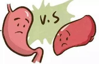 吃瓜会腹痛吗,瓜果美味背后的健康隐患