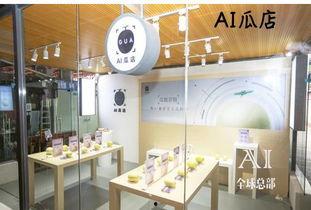 吃瓜店,品味人间烟火，畅游美食江湖