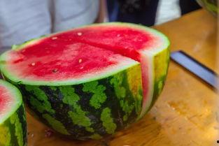 学院吃瓜实拍,吃瓜实拍，揭秘校园生活点滴