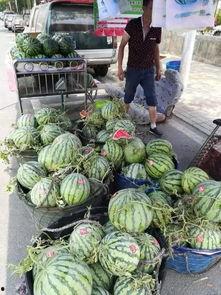 合肥高中吃瓜事件