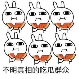 肥肥吃瓜表情包,趣味横生的网络文化现象