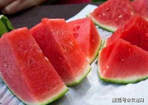 玉瓜小狗可以吃吗,玉瓜是否适合小狗食用？营养分析及食用建议