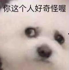 封神质子团吃瓜