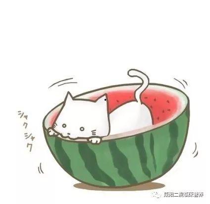 唐家吃瓜动画,揭秘宫廷秘闻的欢乐喜剧之旅