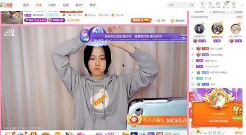 直播吃瓜舒兰后续,揭秘网络热点的背后真相