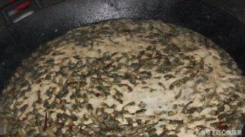 太和恶心吃瓜事件,一场网络舆论的风暴与反思