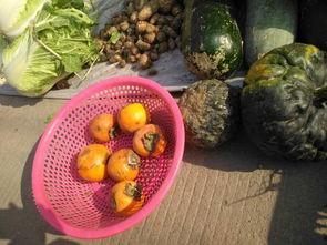 丑丑吃瓜,揭秘娱乐圈的甜蜜与苦涩