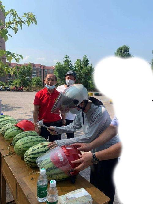 小区吃瓜事件,小区吃瓜事件背后的真相揭秘