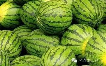 吃霸总的瓜,一场娱乐圈的狂欢盛宴