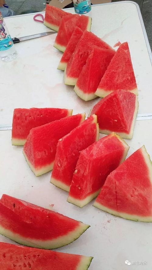 道具赛吃瓜,揭秘赛场背后的趣味与真相