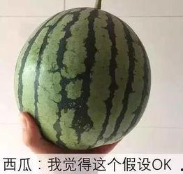 吃瓜不吃瓜籽,吃瓜不吃瓜籽，品味清新生活