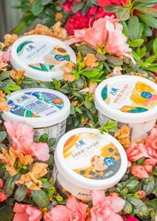 吃瓜直播西湖,吃瓜群众眼中的美丽画卷