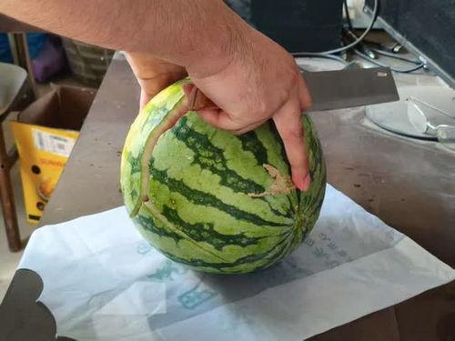 扬州近期吃瓜事件,揭秘背后真相与网络热议