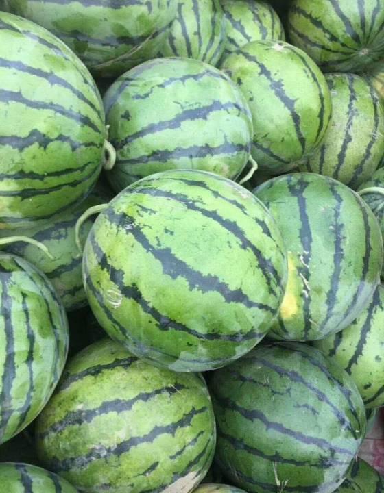 新乐市吃瓜事件