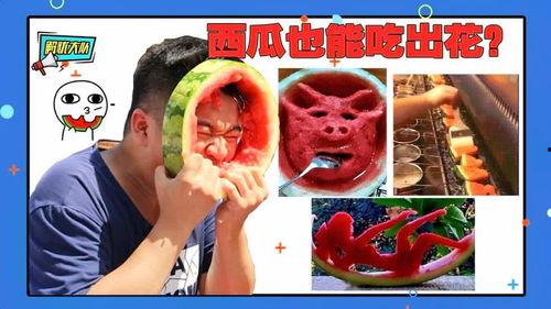 解忧大队吃瓜,吃瓜群众的欢乐盛宴