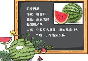 我们的吃瓜历史,从围观到深度参与