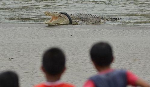 吃瓜被震死,吃瓜群众意外遭遇震天巨响，不幸丧生