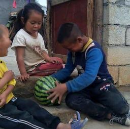 兄妹吃瓜照,甜蜜瓜影见证童年回忆