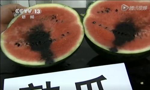 理性吃瓜恶心视频,揭秘网络暴力背后的真相