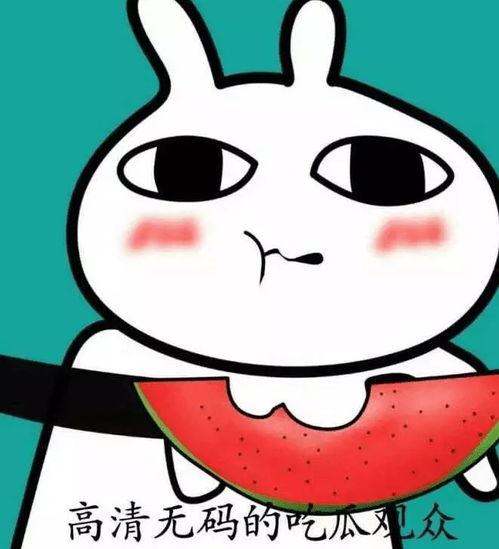 吃瓜群众头像男生可爱,揭秘吃瓜群众中的可爱男生头像