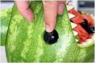 鲨鱼吃瓜的图片,一场海洋与果实的视觉盛宴