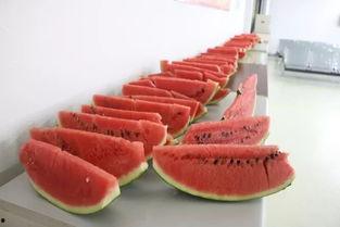 广场吃瓜,揭秘街头巷尾的热议焦点