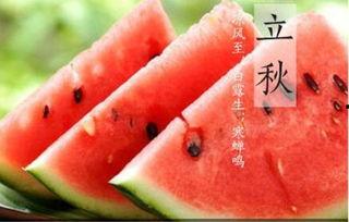 立秋吃瓜啃秋,啃秋习俗传承与美食探索