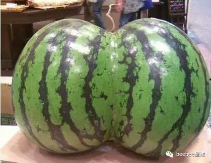 我在聊斋世界吃瓜