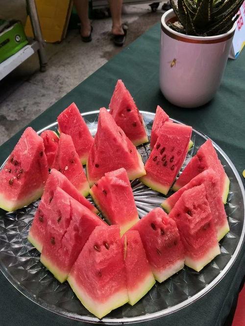 高庄吃瓜视频,揭秘网络热传视频背后的故事