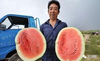 吃瓜算功德,揭秘“吃瓜算功德”的神奇效应