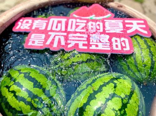 可以吃瓜的现场,围观吃瓜群众的热闹瞬间