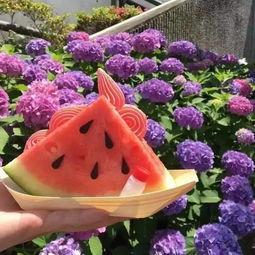 东京吃瓜头像高清,揭秘吃瓜头像背后的时尚密码