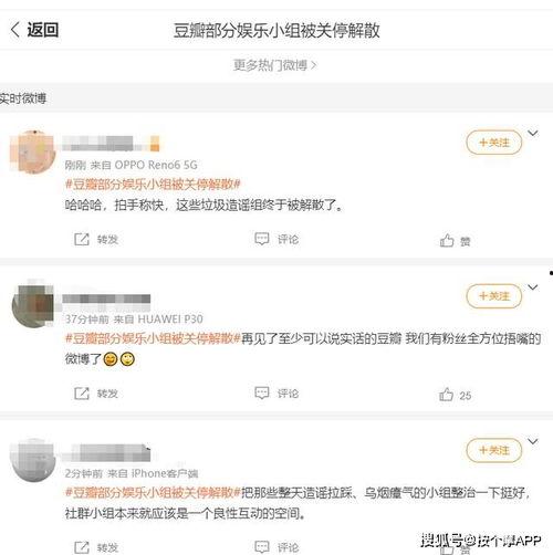 豆瓣小组 吃瓜小组,豆瓣“吃瓜小组”现象解析
