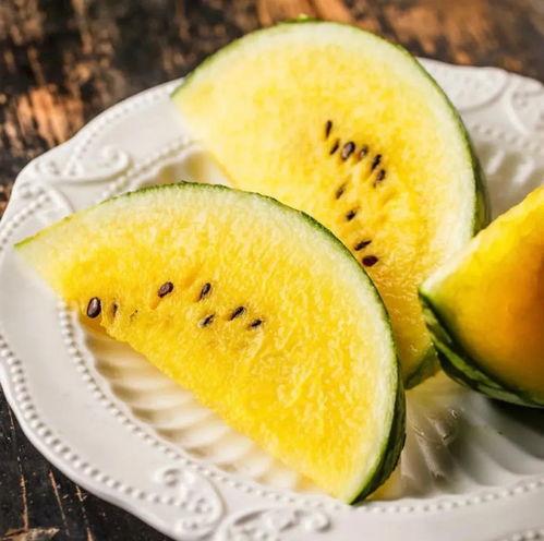 吃瓜大白39,一场关于瓜农生活的深度对话