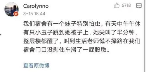 宿舍吃瓜场面,揭秘校园里的欢乐时光