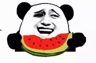 吃瓜阿四,网络红人的崛起与影响力