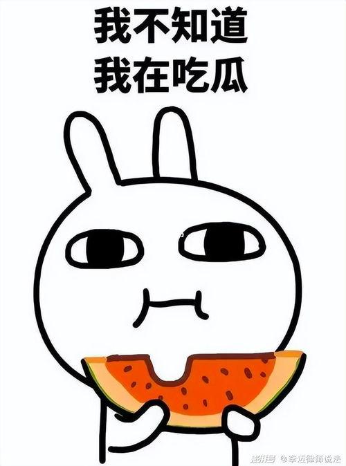 丑八怪吃瓜,揭秘娱乐圈的酸甜苦辣