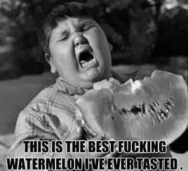 正经人吃瓜,正经人吃瓜，真相大白