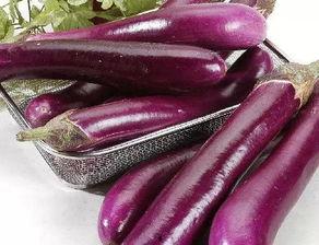 小瓜茄子怎么吃,解锁家常美味新境界