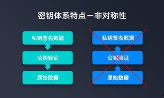吃瓜密钥,带你领略娱乐圈幕后风云