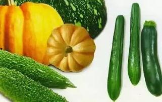 壁瓜怎么吃,探索壁瓜的多样美味