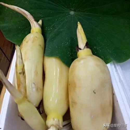 莱芜大帅吃瓜,揭秘网络红人的幕后故事