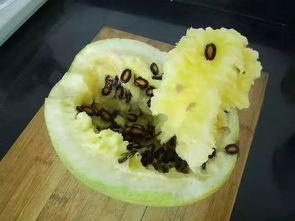 吃籽瓜长肉吗,吃籽瓜真的能长肉吗？揭秘籽瓜的营养与功效