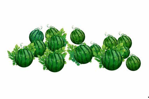 阿瓜怎么吃,解锁各种美味吃法