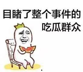 瑞瑞吃瓜群众,揭秘娱乐圈幕后故事