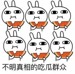 吃瓜被撞了,瓜田惊魂时刻