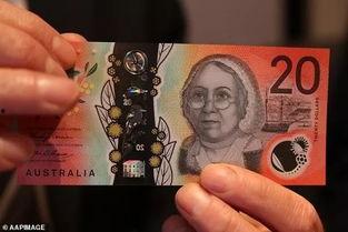 吃瓜纸币,趣味货币背后的文化现象