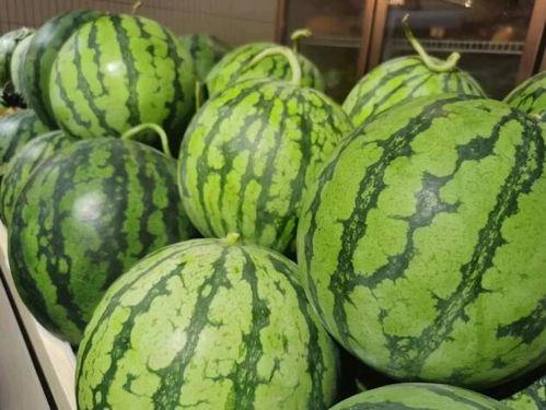 流学生外国吃瓜,一场文化碰撞的趣味之旅