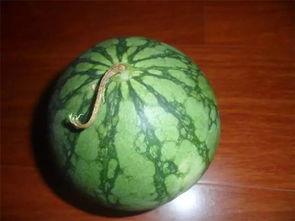 吃瓜必看的视频大全