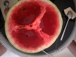 合阳县吃瓜,探寻合阳特色美食之旅